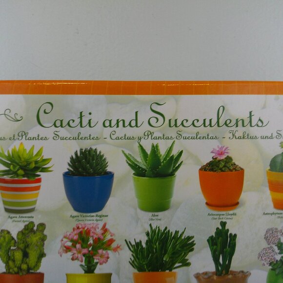 Eurographacs Cacti And Succulents 1000 Piece Jigsaw Puzzle - Picture 2 of 11